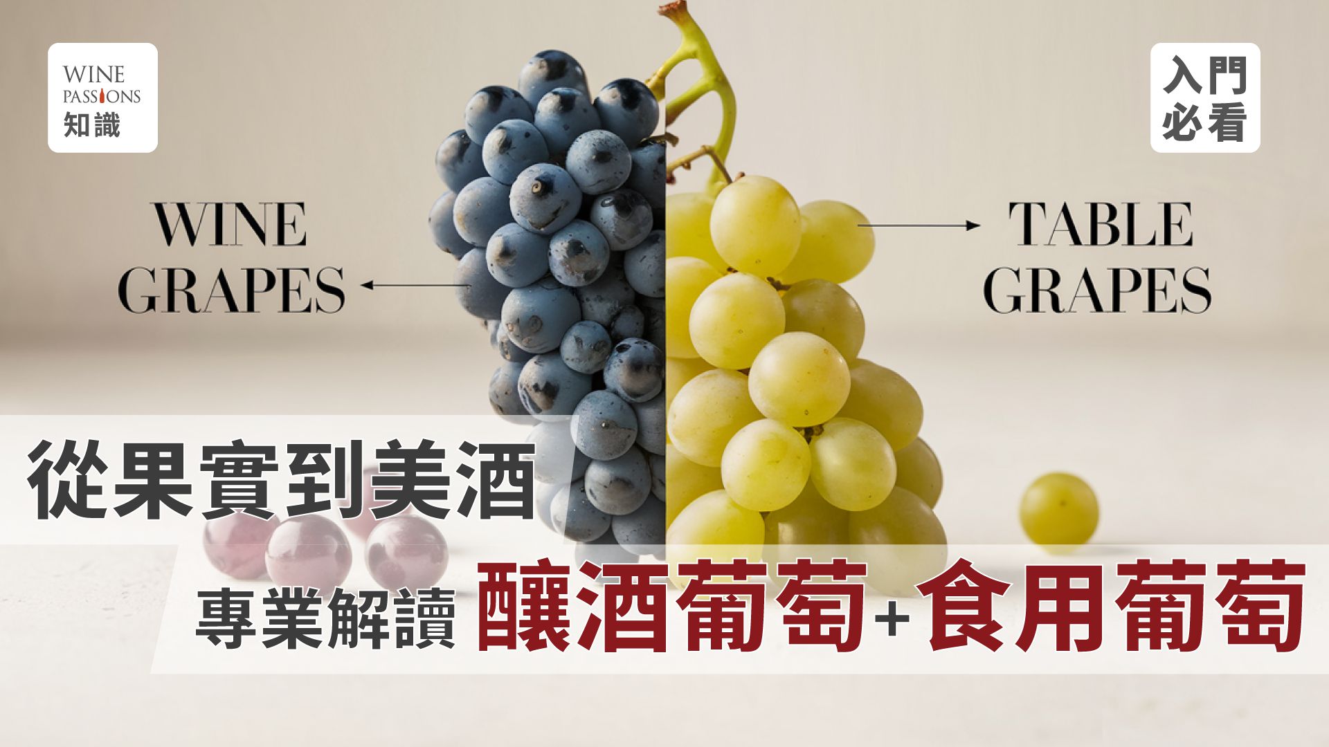 grape varieties differences, wine grape features, table grape attributes, grape varieties English names, wine fermentation process, wine grapes vs table grapes, cultural value of grape varieties, impact of grapes on winemaking, Muscat grapes, Kyoho grapes, wine grapes vs table grapes, brewing yeast proportion, wine making methods, grapevines, varieties, French grape varieties, wine fermentation principles, what grape varieties are there, characteristics of wine grapes, characteristics of table grapes, grape varieties in English, white wine grape varieties, small grape varieties, white grape wine varieties, common wine grape varieties, how to choose wine grapes.