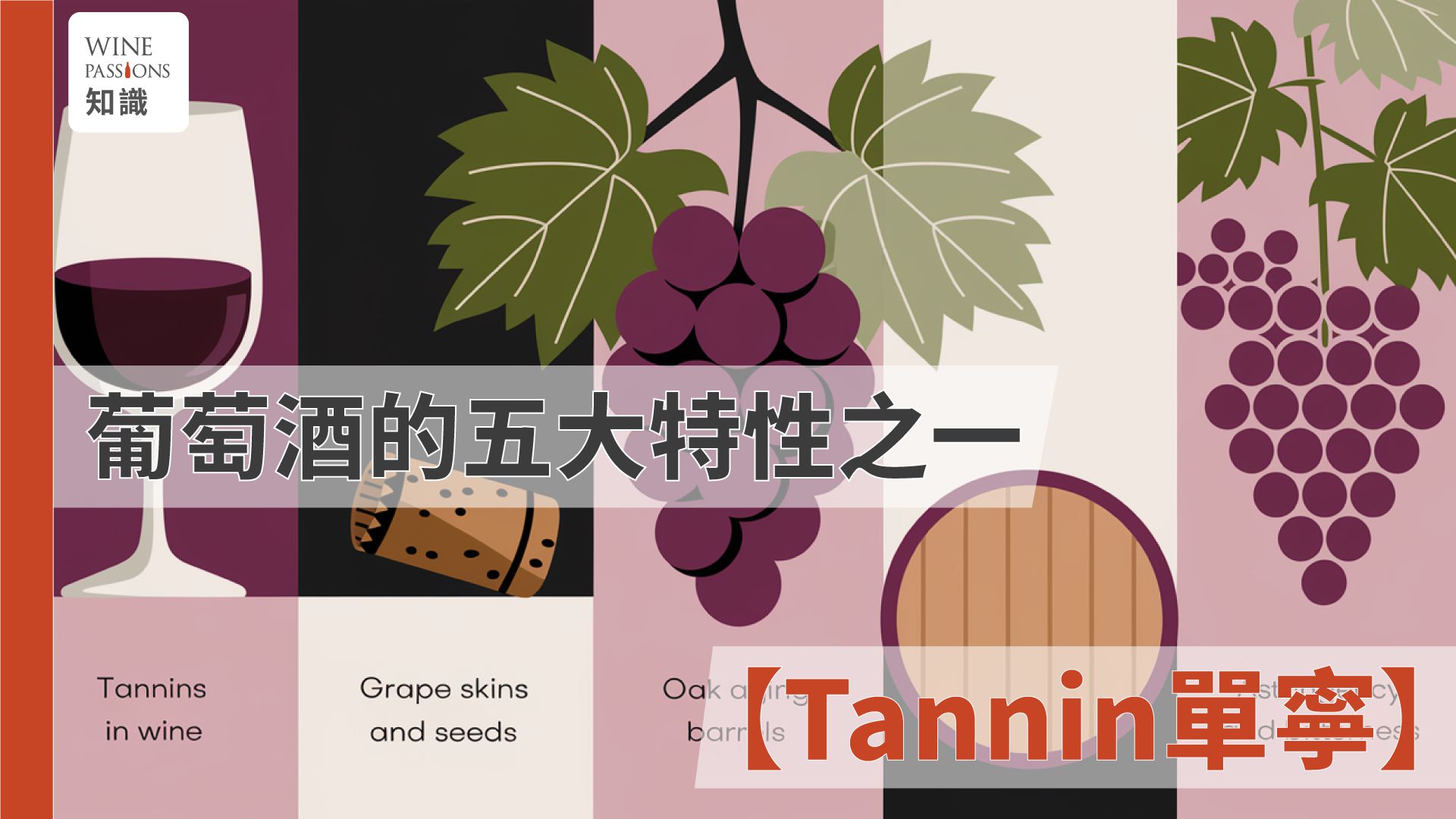 Tannin effects, tannin taste, what is tannin, tannic acid, tannic acid benefits, tannin in red wine, side effects of tannic acid, benefits of red wine tannins, what is tannin taste, levels of tannin in red wine, recommendations for low-tannin red wine, how to evaluate tannin in red wine.