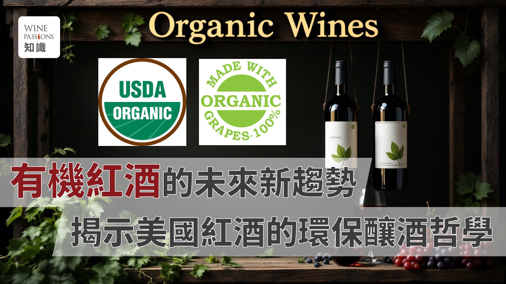 Organic wine Organic red wine Naturally fermented wine Biodynamic wine Natural wine Definition of natural wine Avaline wine Orange wine