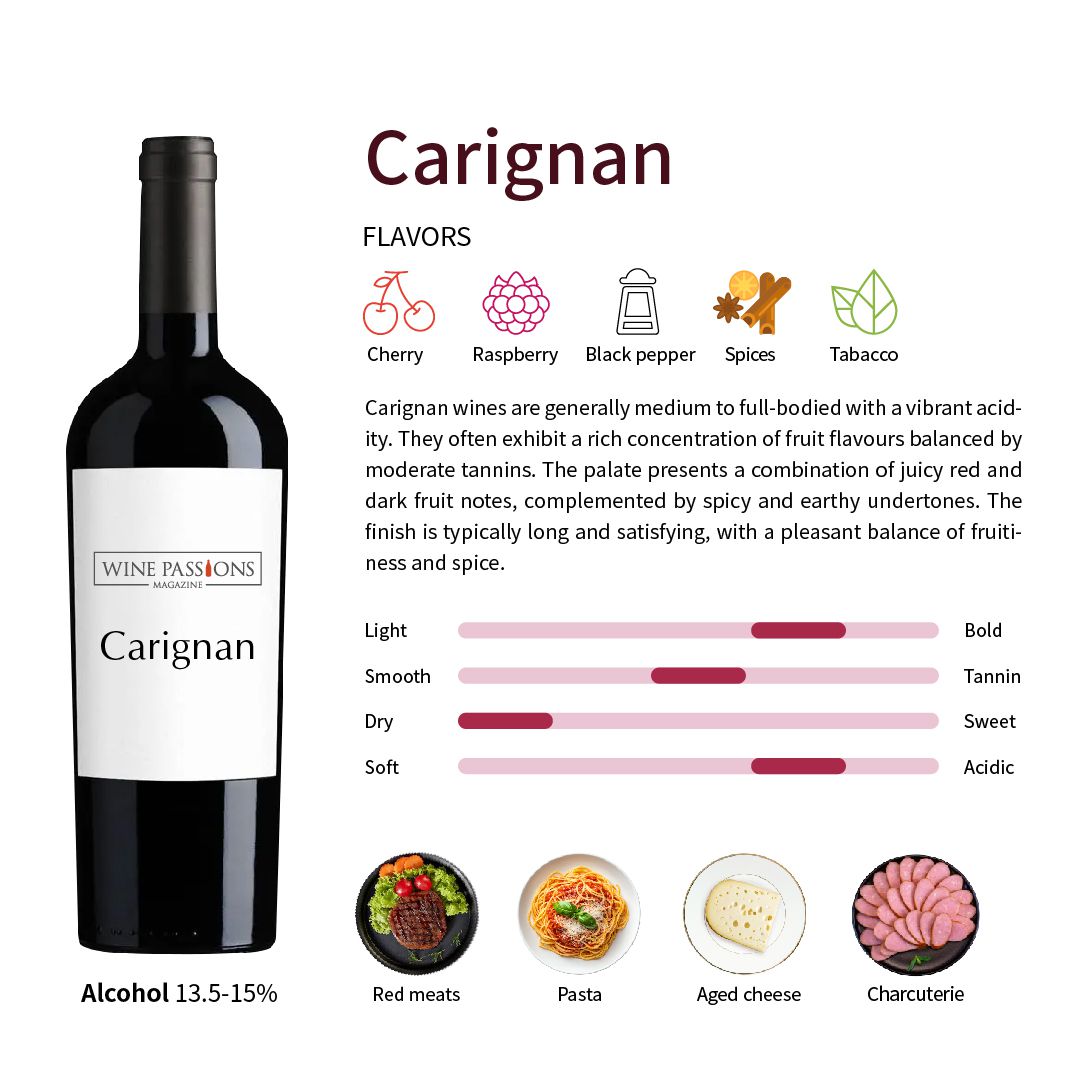 Carignan 葡萄 Cariñena Mazuelo 葡萄 西班牙紅葡萄酒 法國紅葡萄酒 Carignan酒 西班牙Mazuelo Languedoc-Roussillon Priorat葡萄酒 食物搭配建議 葡萄酒品鑑技巧 單一品種紅酒 老藤葡萄