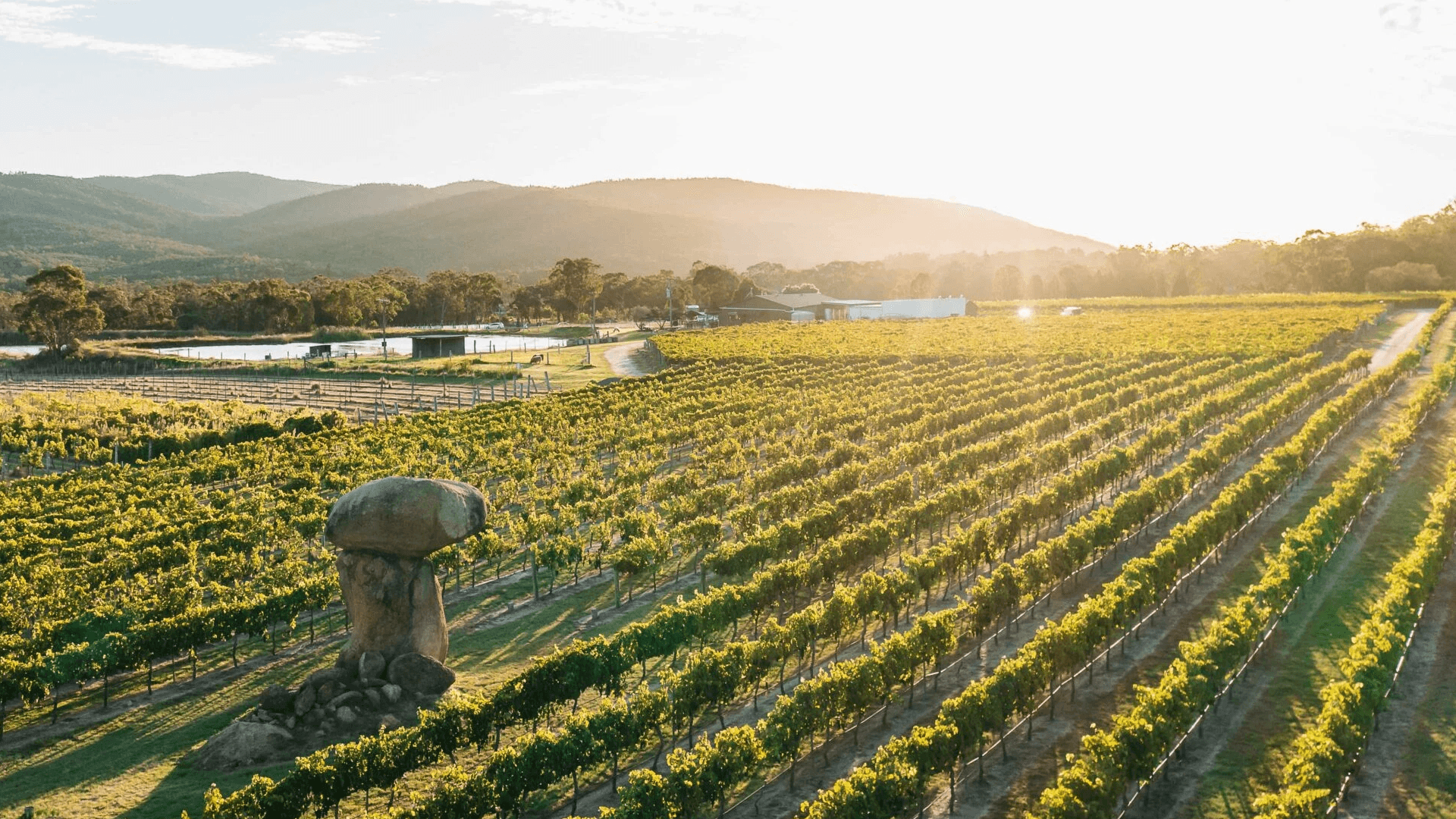 Queensland 葡萄酒 昆士蘭紅酒 昆士蘭白酒 昆士蘭酒莊 Queensland Wine 昆士蘭葡萄酒旅遊 昆士蘭品酒活動 昆士蘭產區解析 昆士蘭酒莊遊記